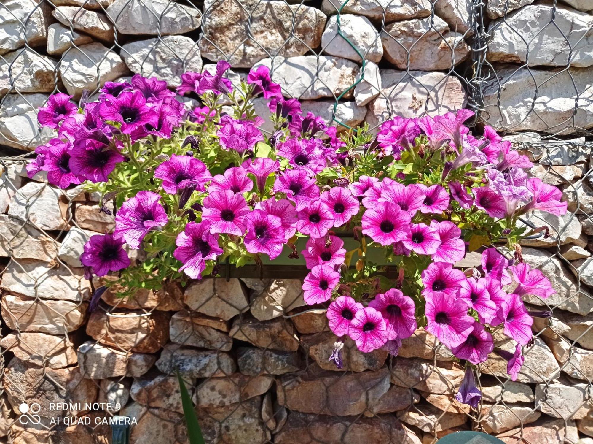 Chez Sylvie Et Alain Bed & Breakfast Lamas ภายนอก รูปภาพ