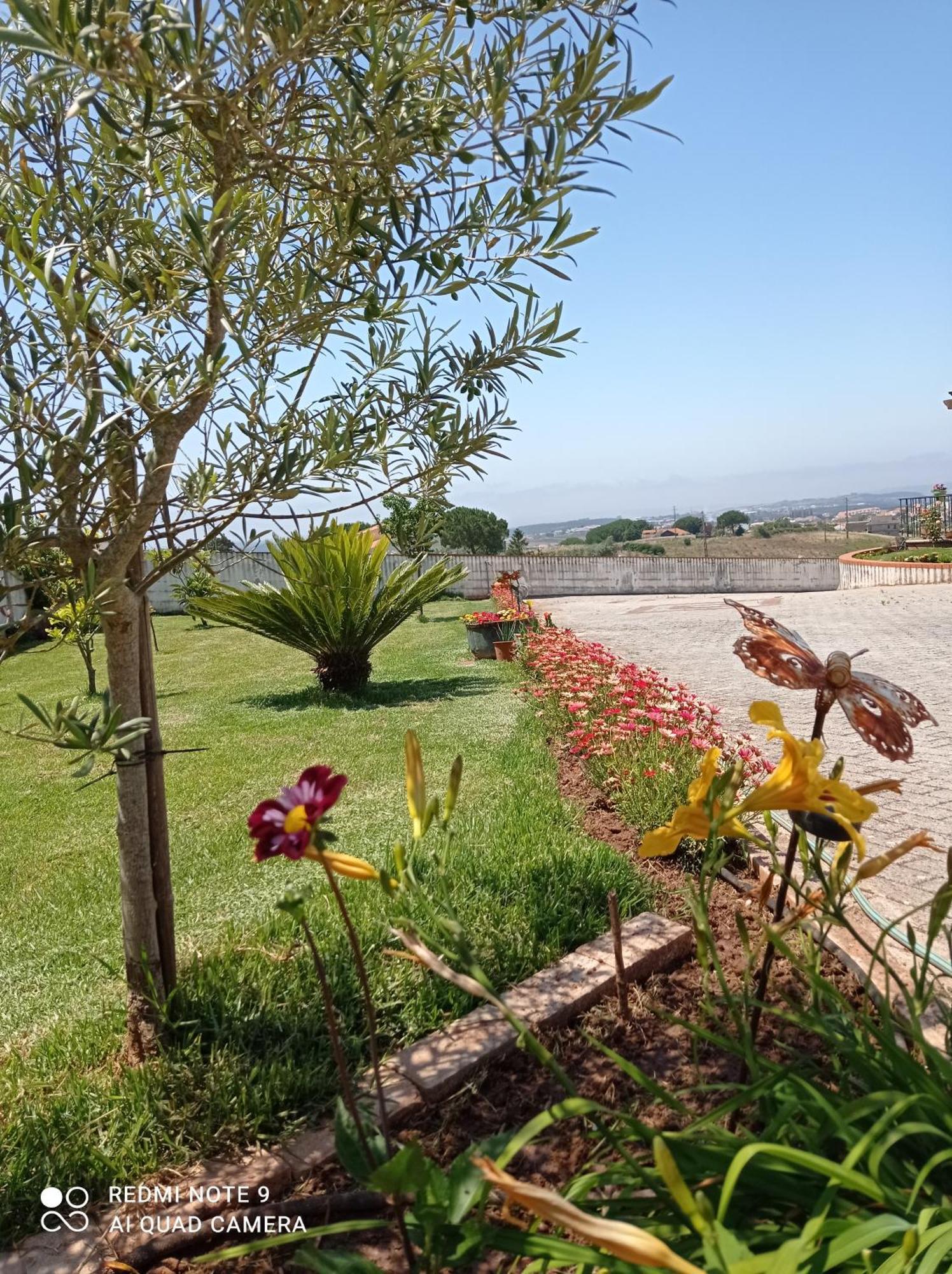Chez Sylvie Et Alain Bed & Breakfast Lamas ภายนอก รูปภาพ