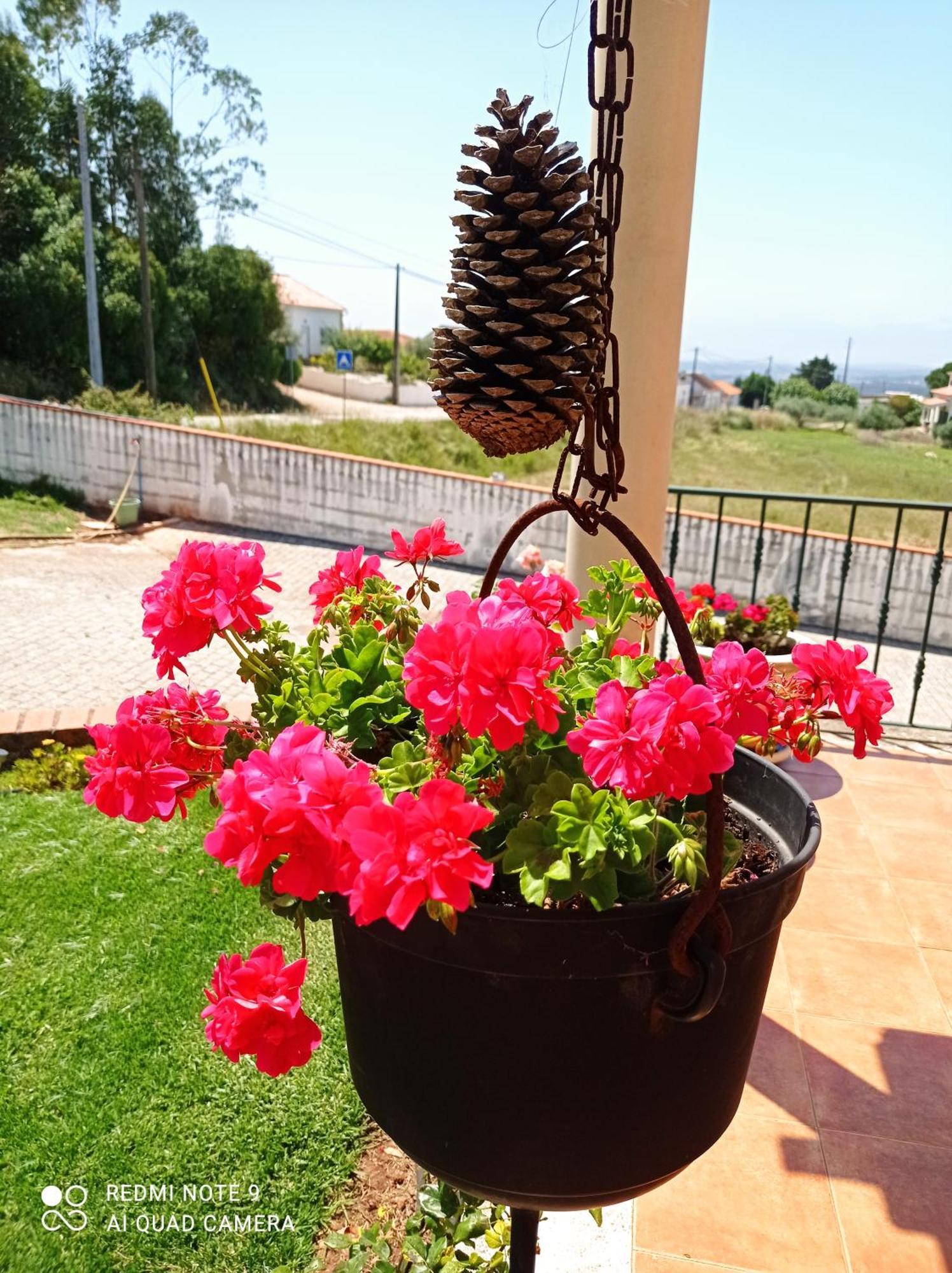 Chez Sylvie Et Alain Bed & Breakfast Lamas ภายนอก รูปภาพ